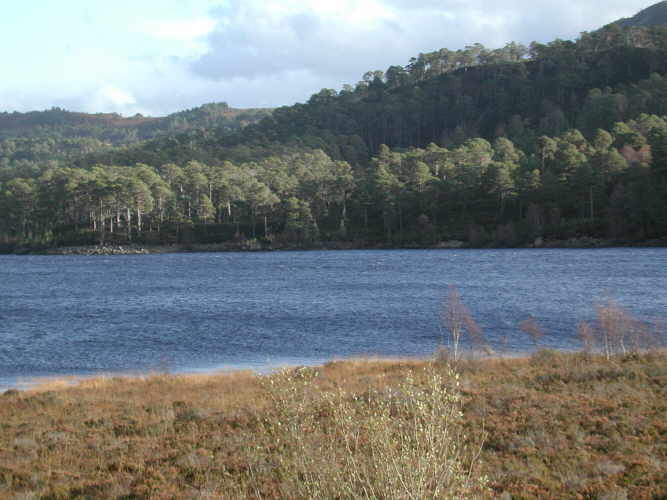 Linlithgow loch photo