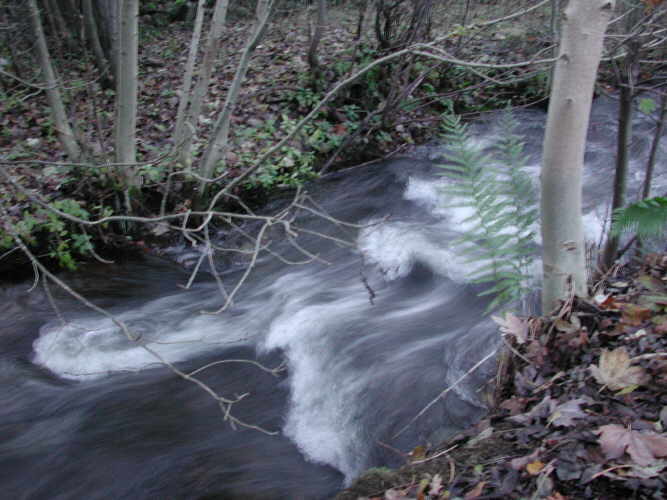 Creek in Perthshire